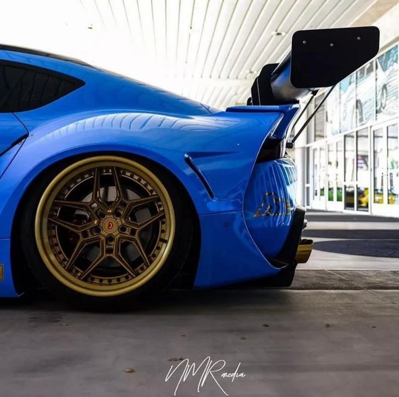 vossen 4.jpg